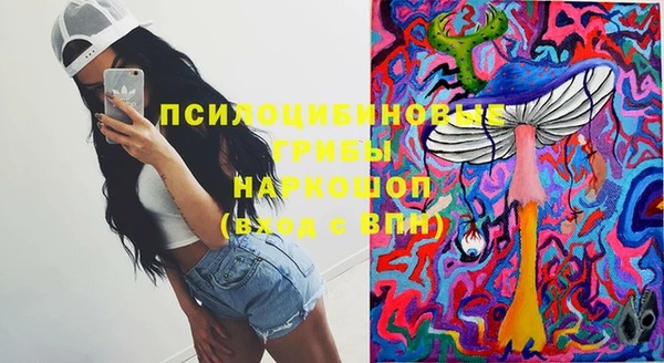 МДПВ Богданович